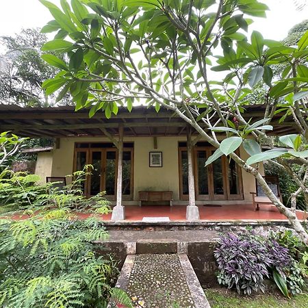 Carik Tangis Boutique Homestay Jatiluwih Zewnętrze zdjęcie