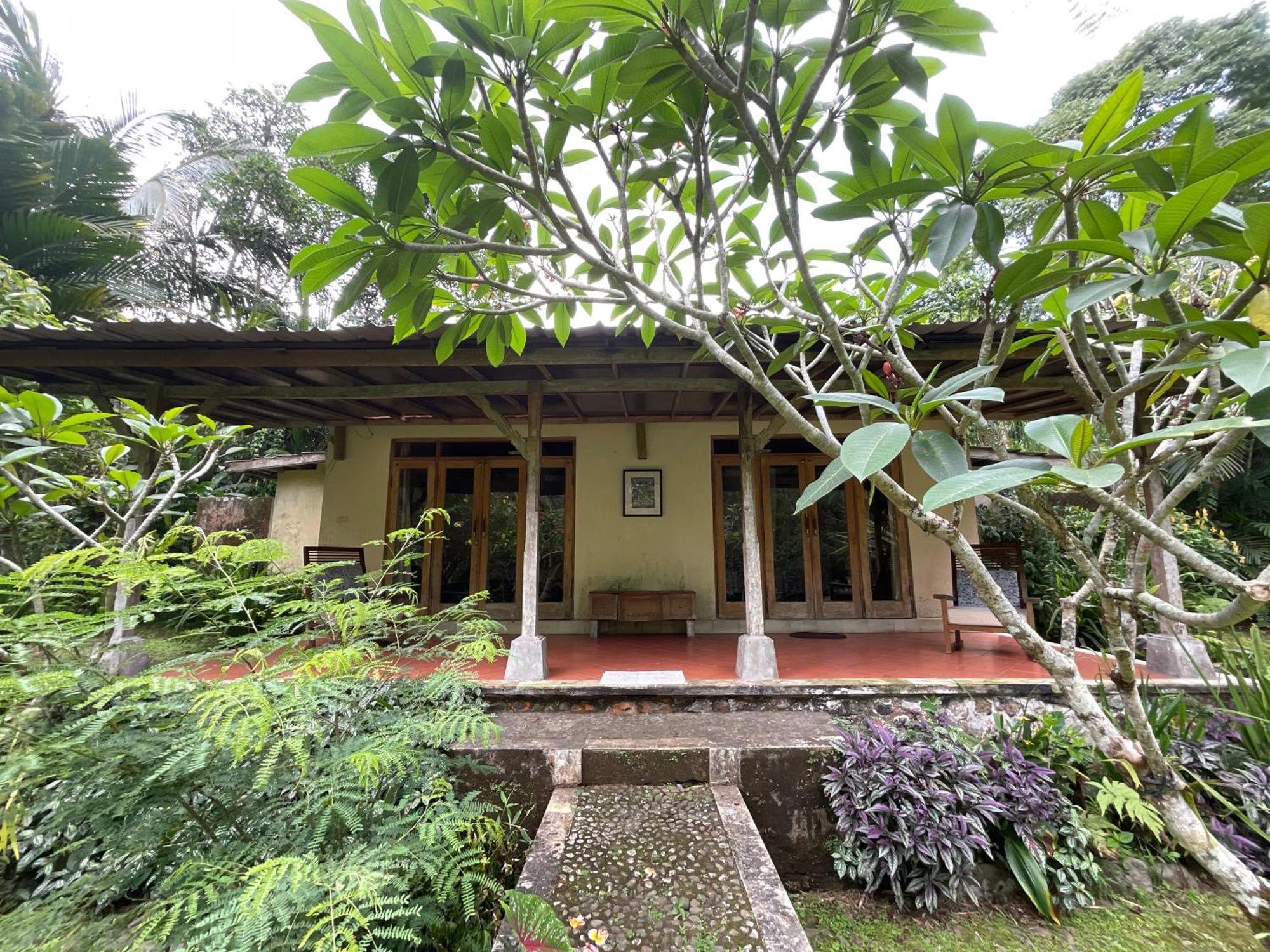 Carik Tangis Boutique Homestay Jatiluwih Zewnętrze zdjęcie