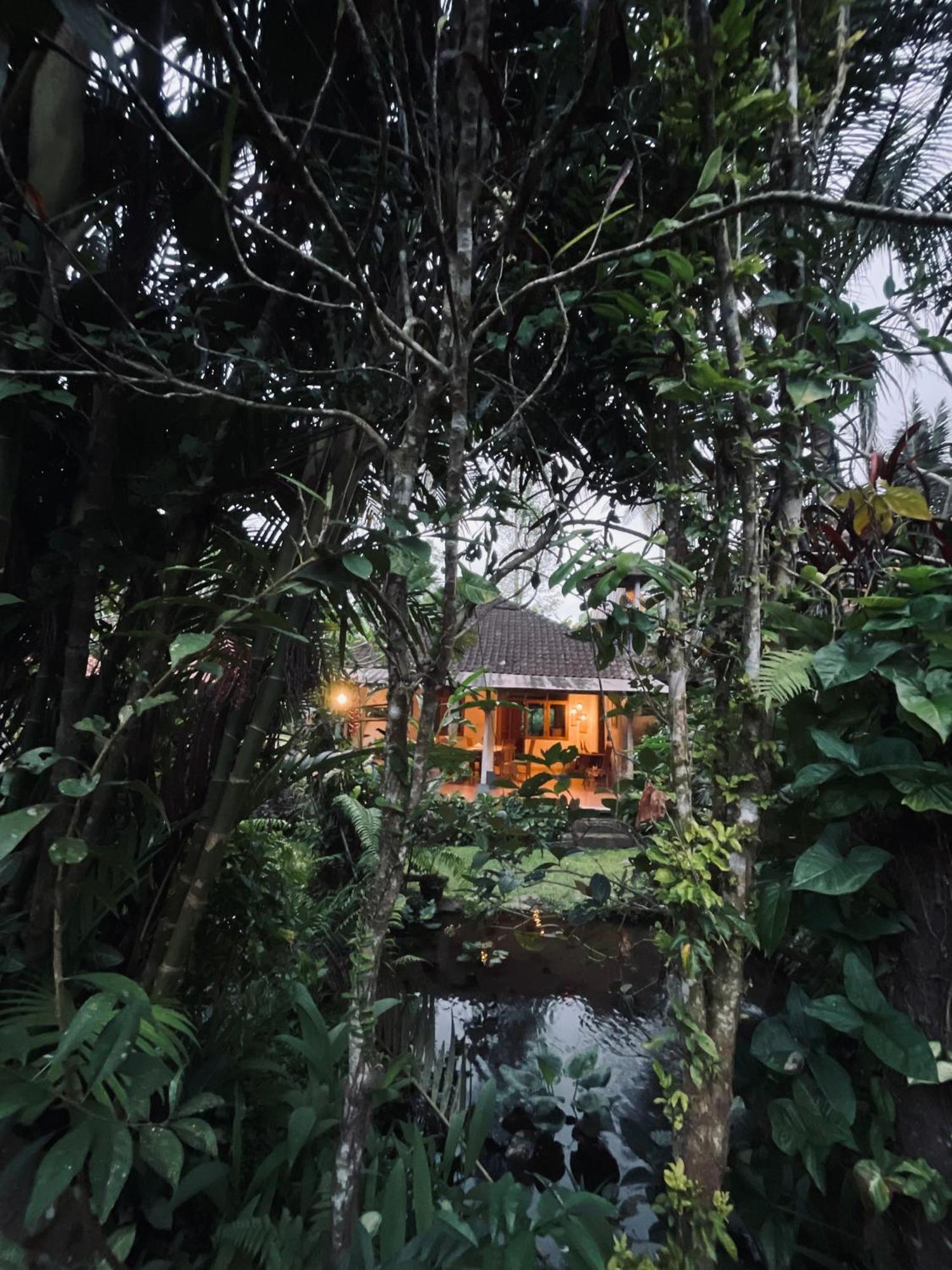 Carik Tangis Boutique Homestay Jatiluwih Zewnętrze zdjęcie