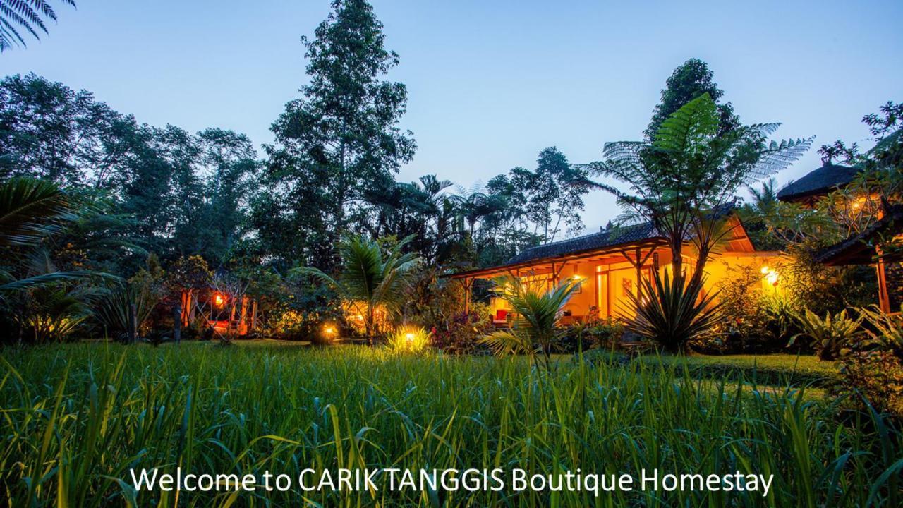 Carik Tangis Boutique Homestay Jatiluwih Zewnętrze zdjęcie